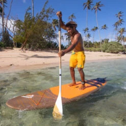 PAGAIE FANATIC BAMBOO CARBON 50 FIXE 7.25 17 PAGAIE FANATIC BAMBOO CARBON 50 FIXE 7.25 -JOBE Soldes pagaie fanatic bamboo carbon 50 fixe 725 7