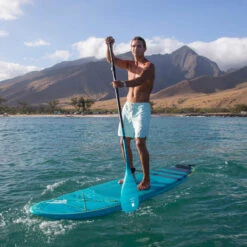 PAGAIE FANATIC CARBON 35 VARIO 3 PARTIES 7.25 -JOBE Soldes pagaie fanatic carbon 35 vario 3 parties 725 2