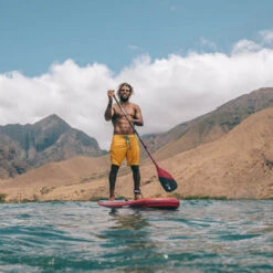 PAGAIE FANATIC CARBON 80 VARIO -JOBE Soldes pagaie fanatic carbon 80 vario 2