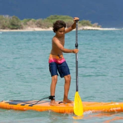 PAGAIE FANATIC RIPPER CARBON 25 VARIO 6.5 -JOBE Soldes pagaie fanatic ripper carbon 25 vario 65 3