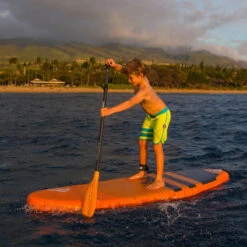 PAGAIE FANATIC RIPPER CARBON 25 VARIO 6.5 -JOBE Soldes pagaie fanatic ripper carbon 25 vario 65 5